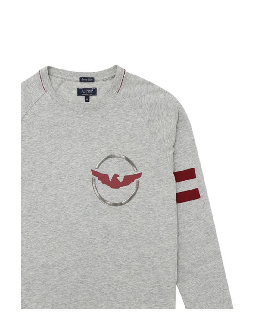 Armani Jeans T-shirt With Round Neck And Long Sleeves In Gray