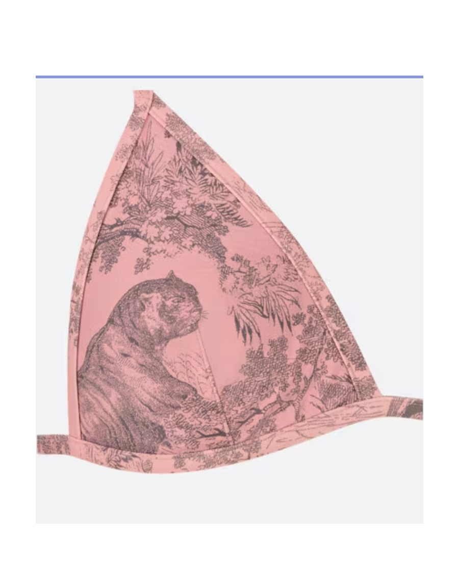 Dior Logo Bikini Swimsuit In Pink