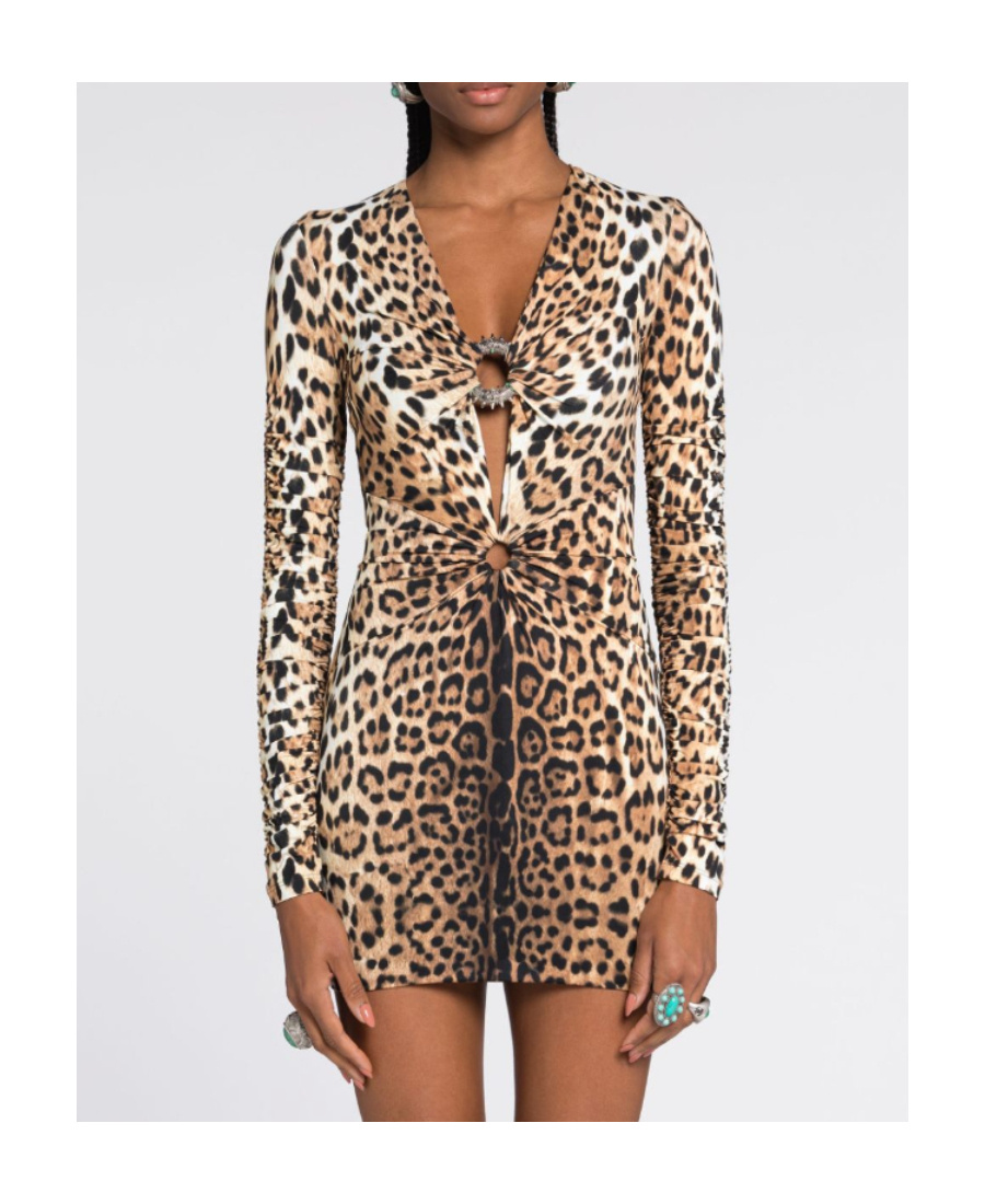 Shop Roberto Cavalli Leopard Print V-neck Minidress In Multicolor
