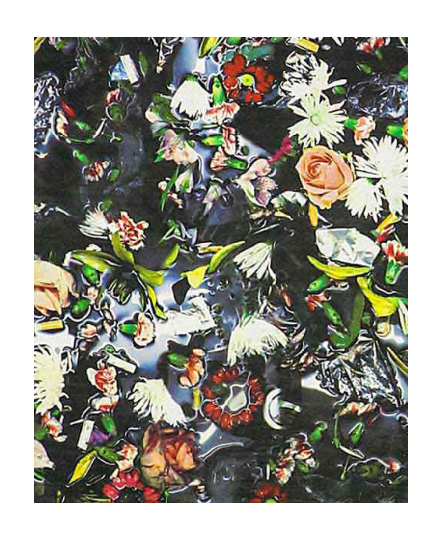 Mcq By Alexander Mcqueen Broken Flower Scarf In Multicolor