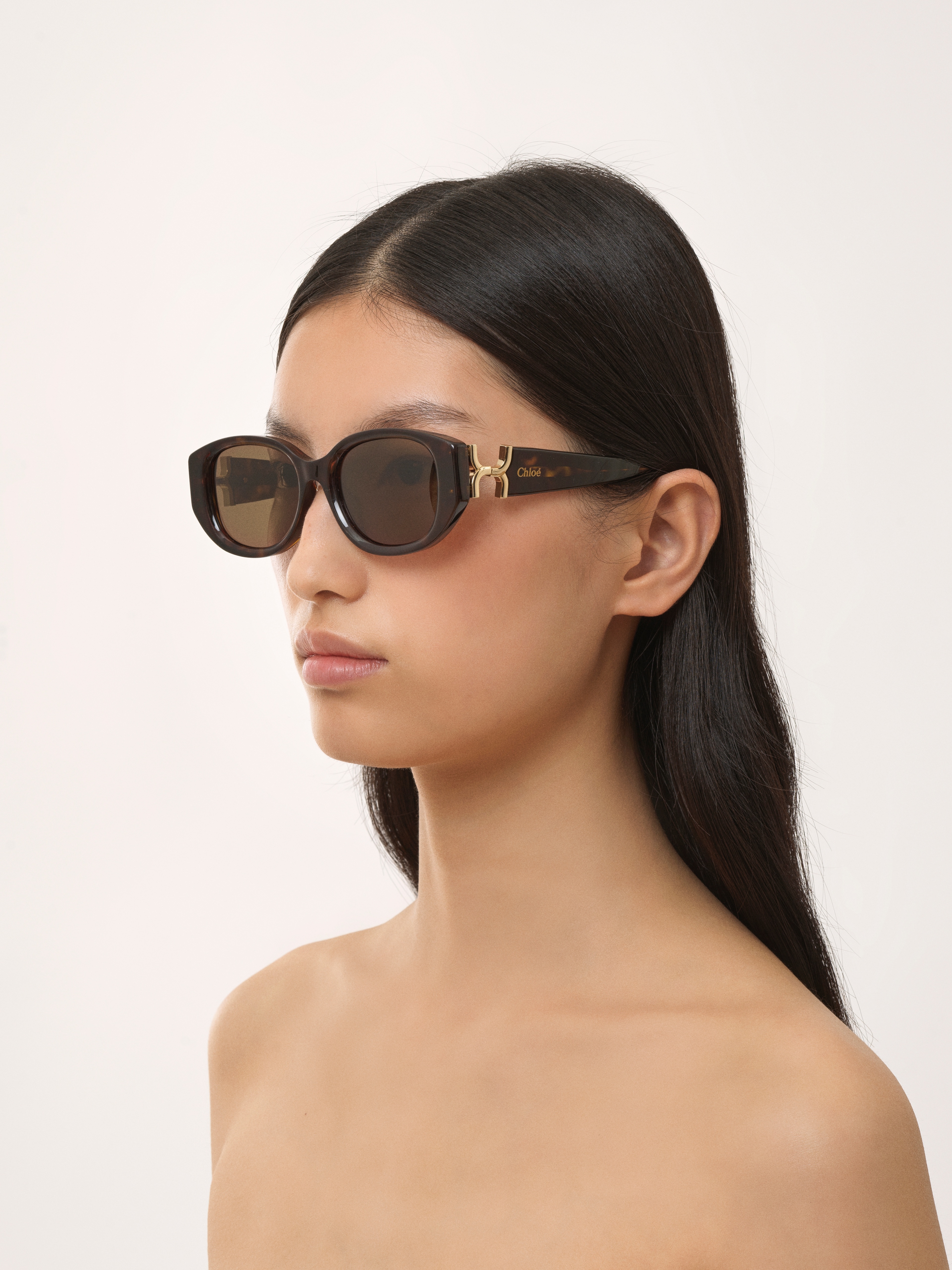 Chloé Marcie Elliptical Sunglasses In Brown