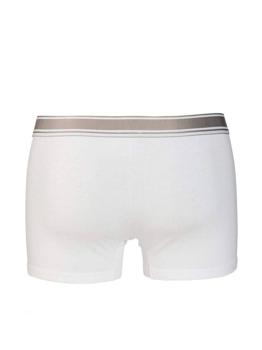 DOLCE & GABBANA LOGO DETAIL PANTIES