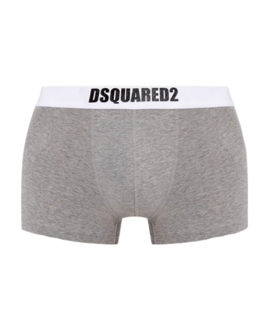 Dsquared2 Logo Panties In Gray