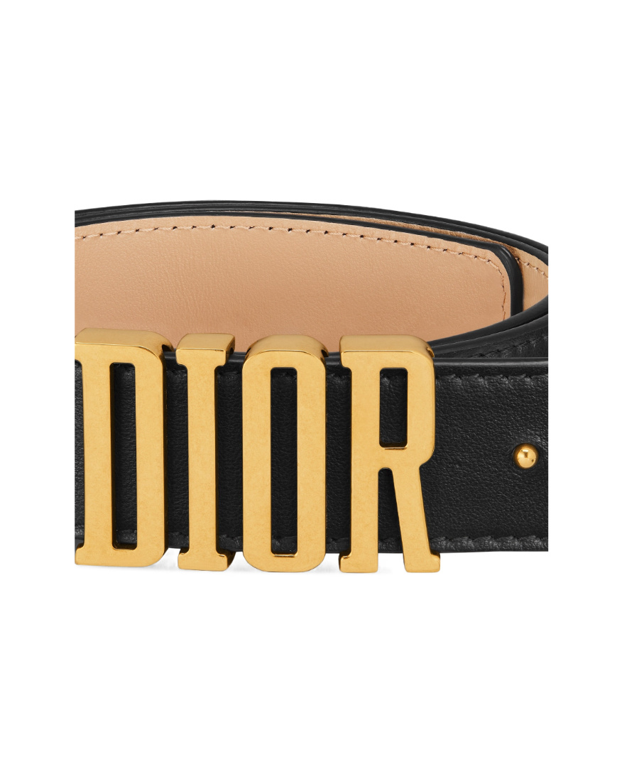 Dior D-fence Double-sided Belt In Black