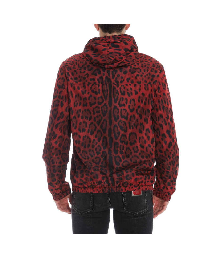 Dolce & Gabbana Men's Leopard Wind-resistant Hooded Jacket In Red