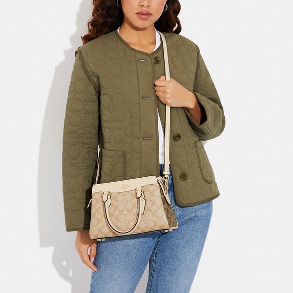 Coach Color Matching Iconic Canvas Mini Darcie Shoulder Bag In Brown