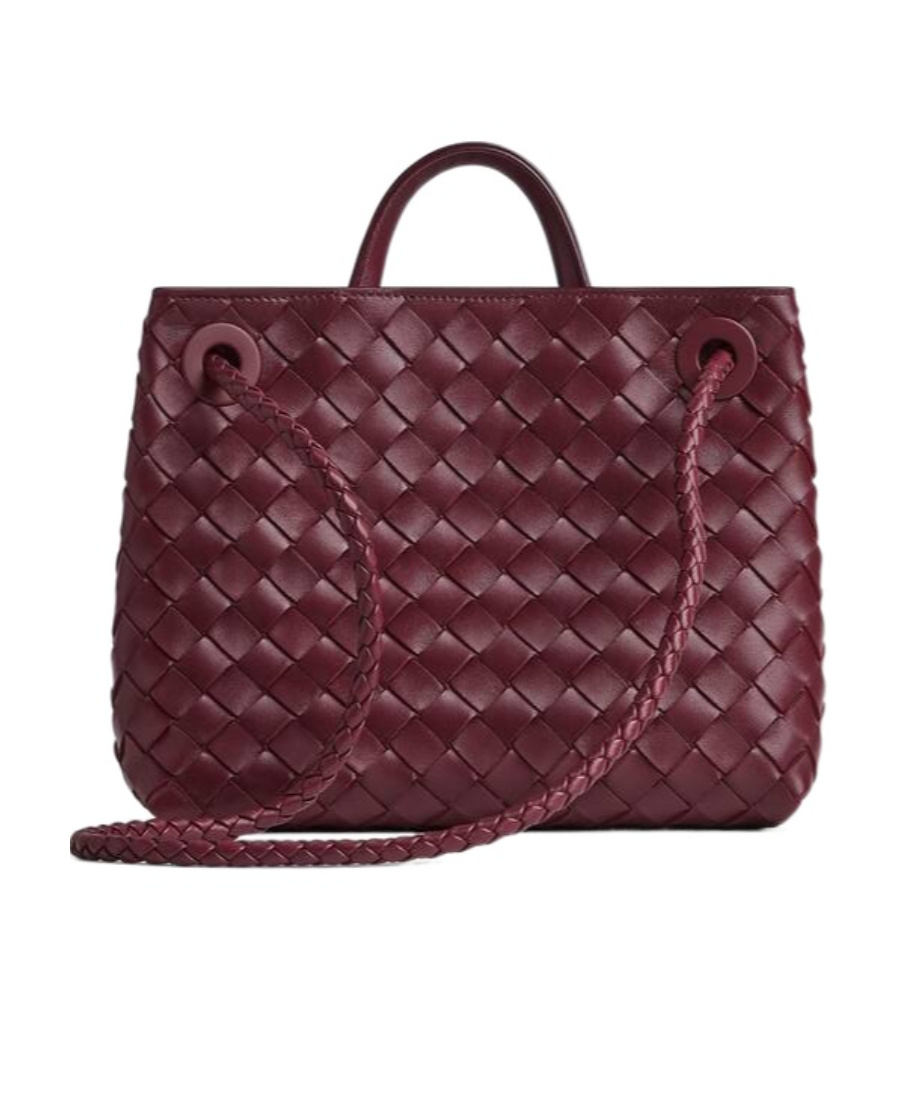 Shop Bottega Veneta Small Andiamo In Red