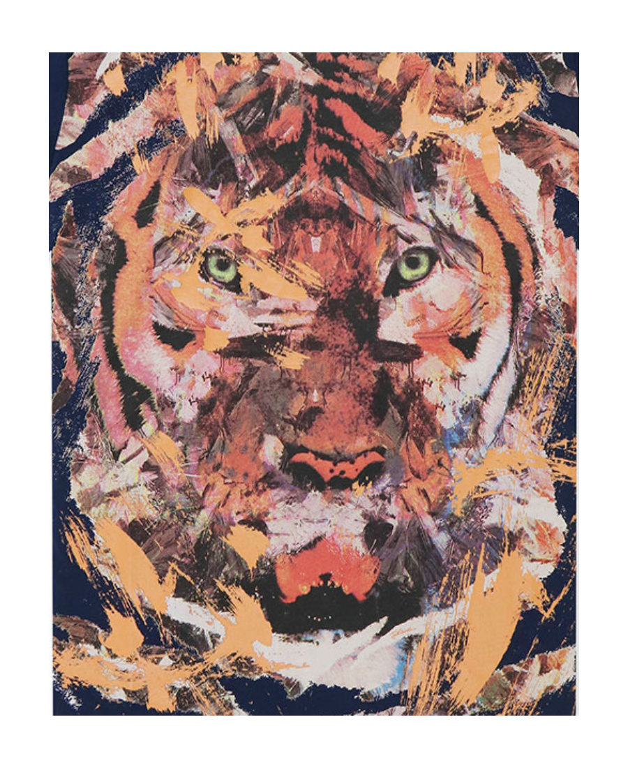 Just Cavalli Navy Blue Printed T-shirt In Black