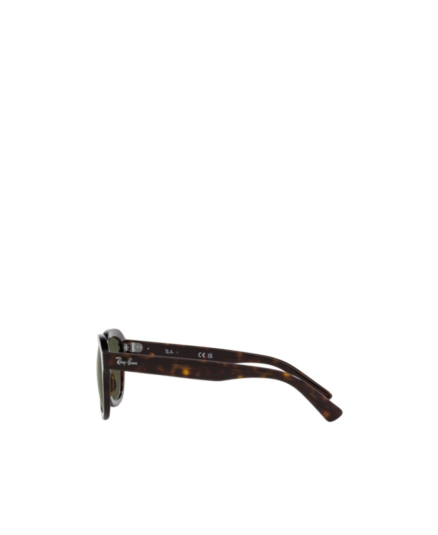 Ray Ban Erik 51mm Square Sunglasses In Green