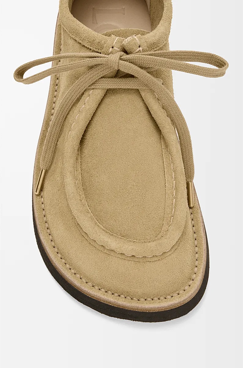 Loewe Faro Lace Up Shoes In Suede Calfskin