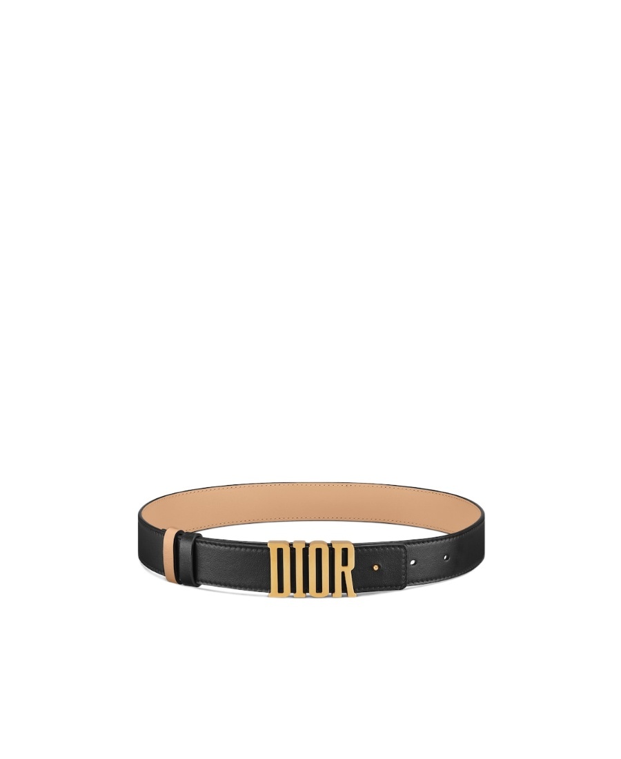 Dior D-fence Double-sided Belt In Black