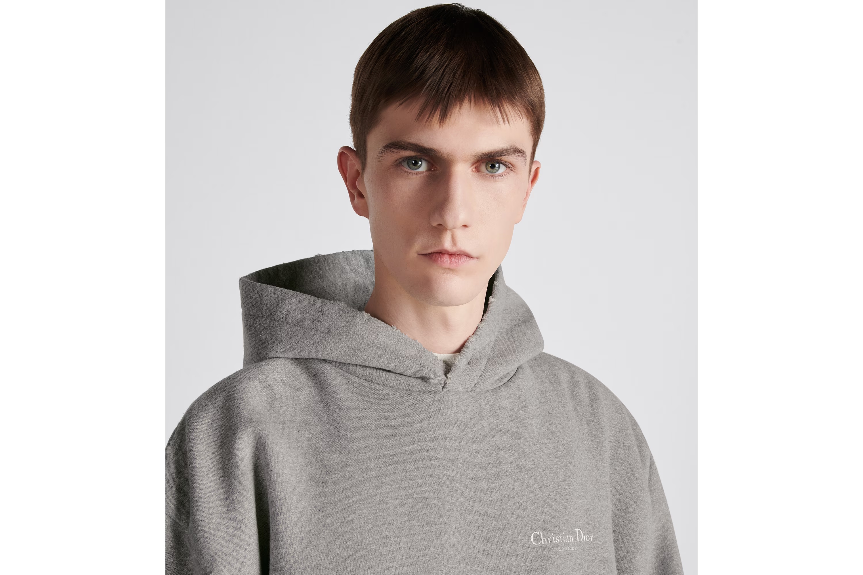 Dior Hooded Printed Sweater In Gray
