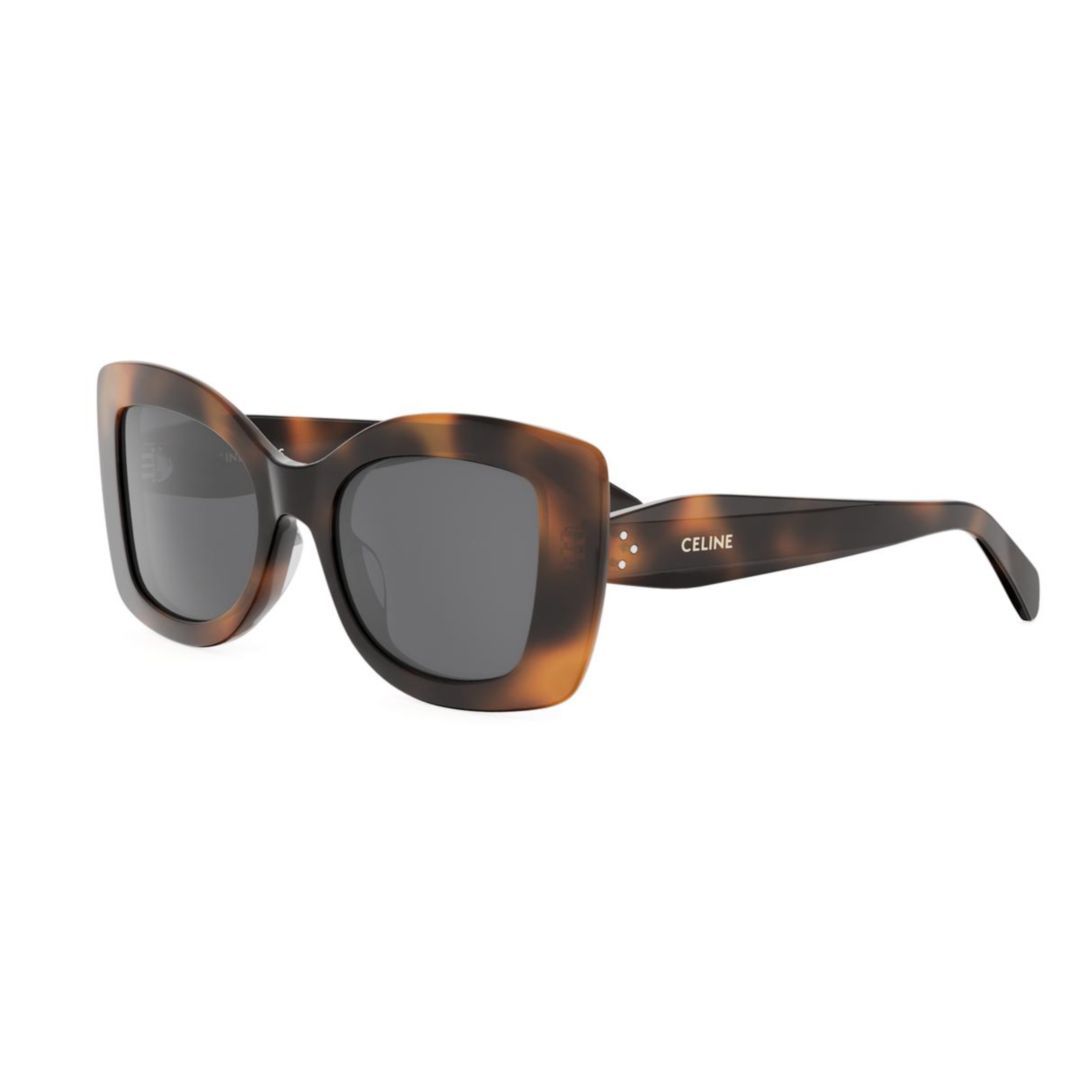 Celine Full Frame Sunglasses In Brown