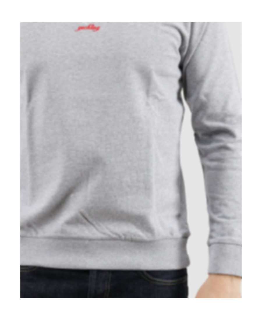 Shop Paul & Shark Logo Printed Sweater In Gray
