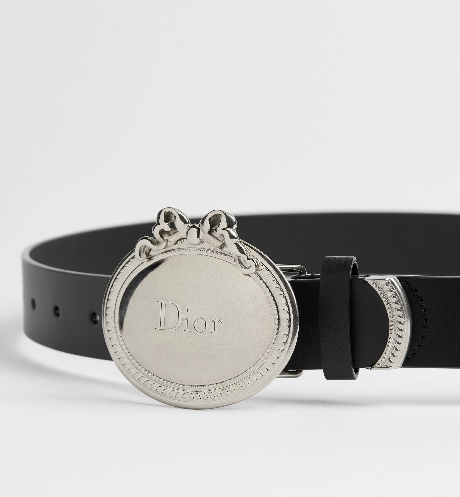 Dior Médaillon Belt In Multi