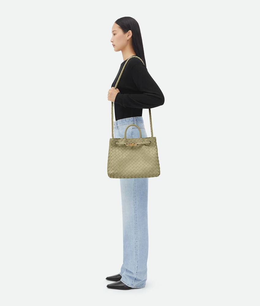 Bottega Veneta Medium Andiamo In Green