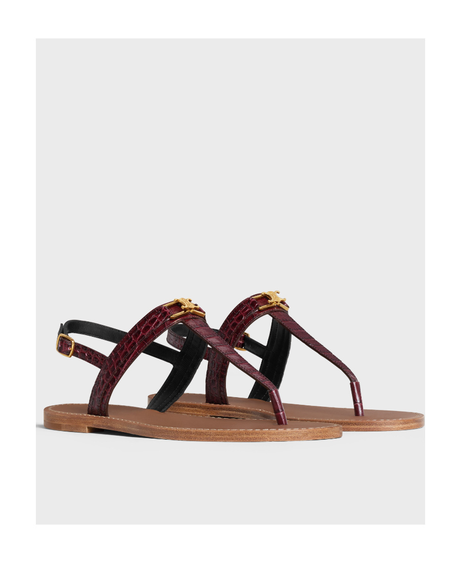 Celine Triomphe Flat-soled Sandals In Brown