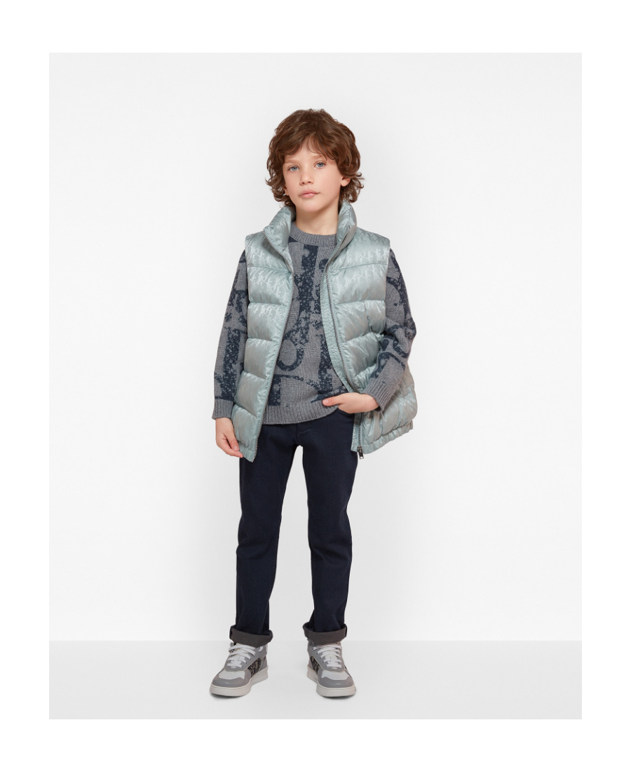 Dior Sleeveless Zipper Down Jacket In Gray