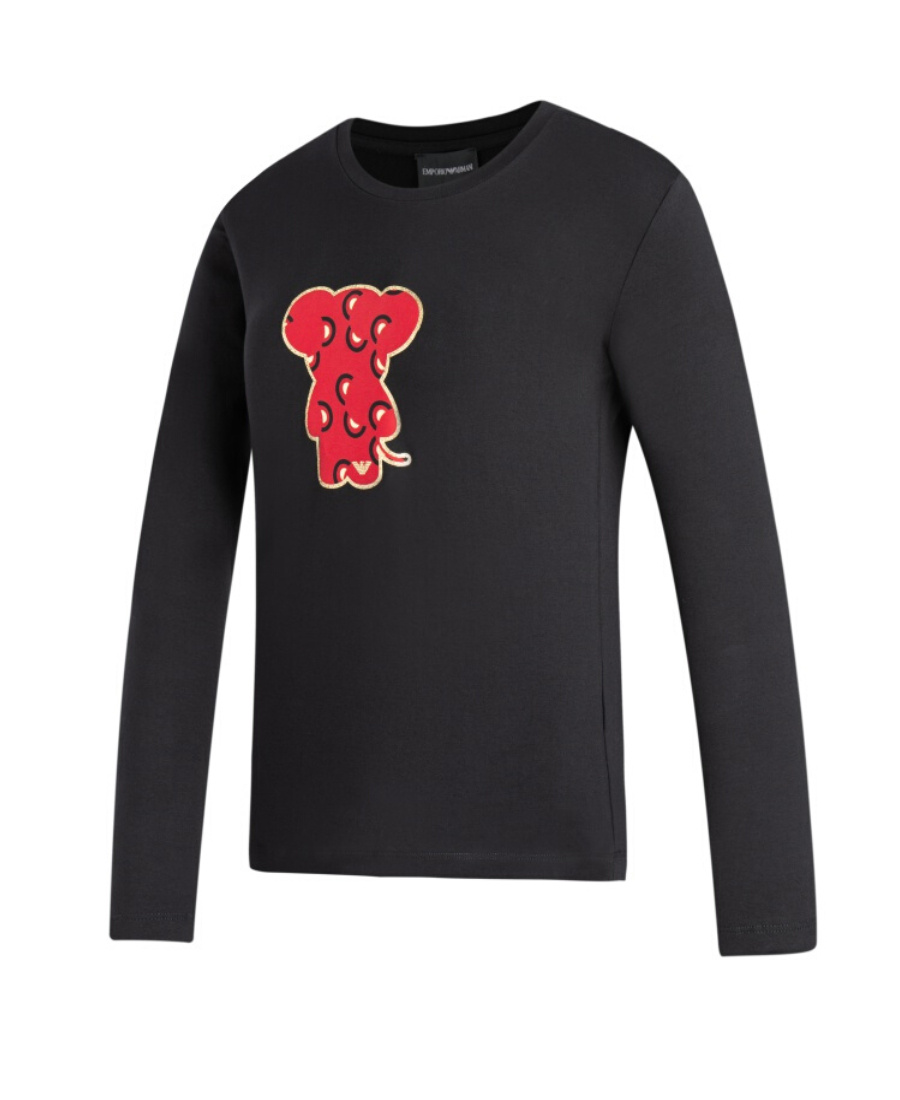EMPORIO ARMANI T-SHIRT WITH ROUND NECK AND LONG SLEEVES 