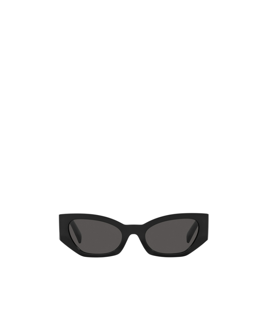 Dolce & Gabbana Cat-eye Frame Sunglasses In Black