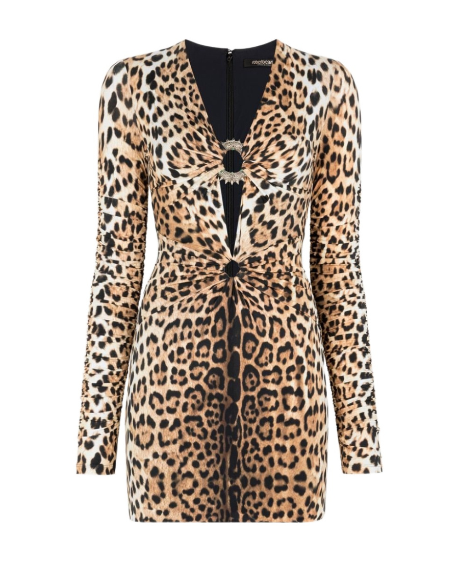 Shop Roberto Cavalli Leopard Print V-neck Minidress In Multicolor