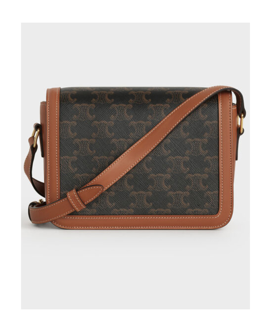 Celine Brown Triomphe Canvas Crossbody Handbag For Women In Brown
