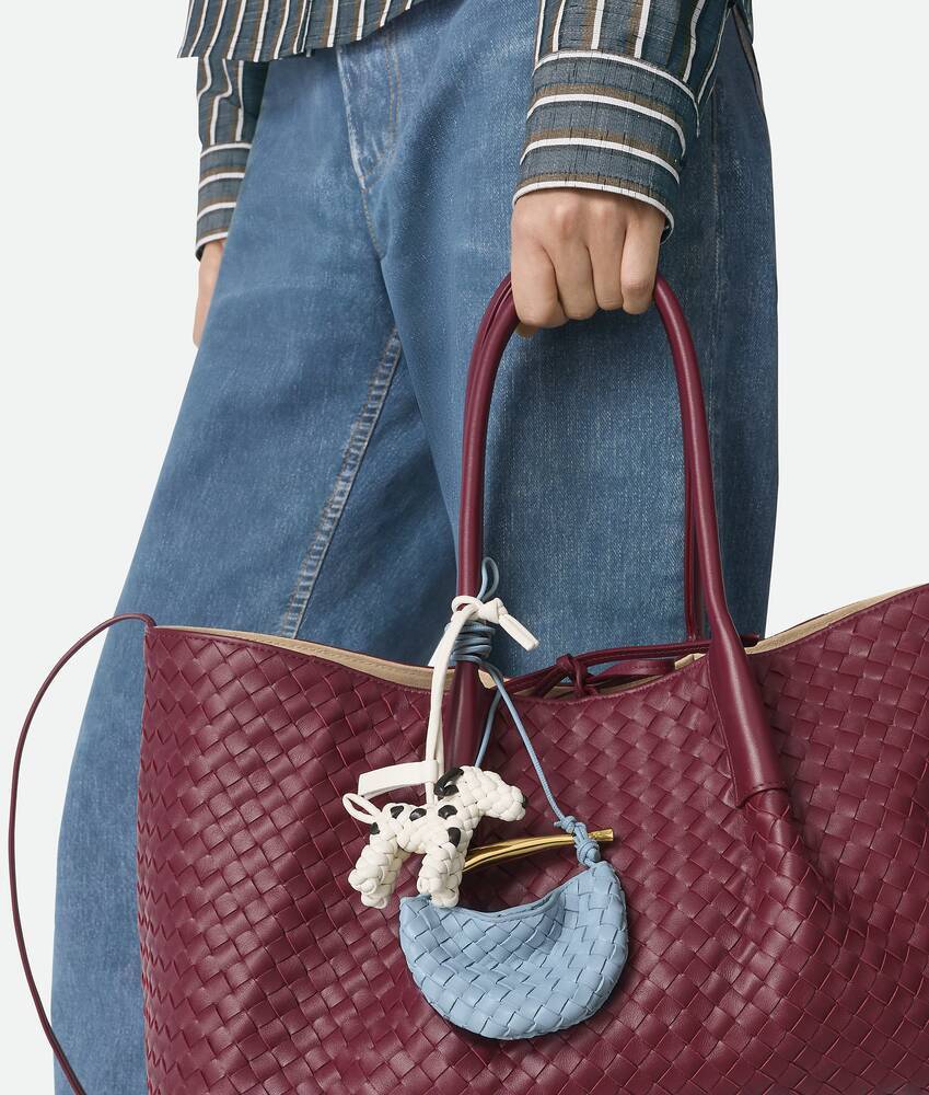 Bottega Veneta Miniature Sardine In Blue
