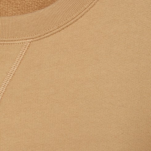 Gucci Camel-coloured Cotton Sweatshirt With Web Ribbon In Nude