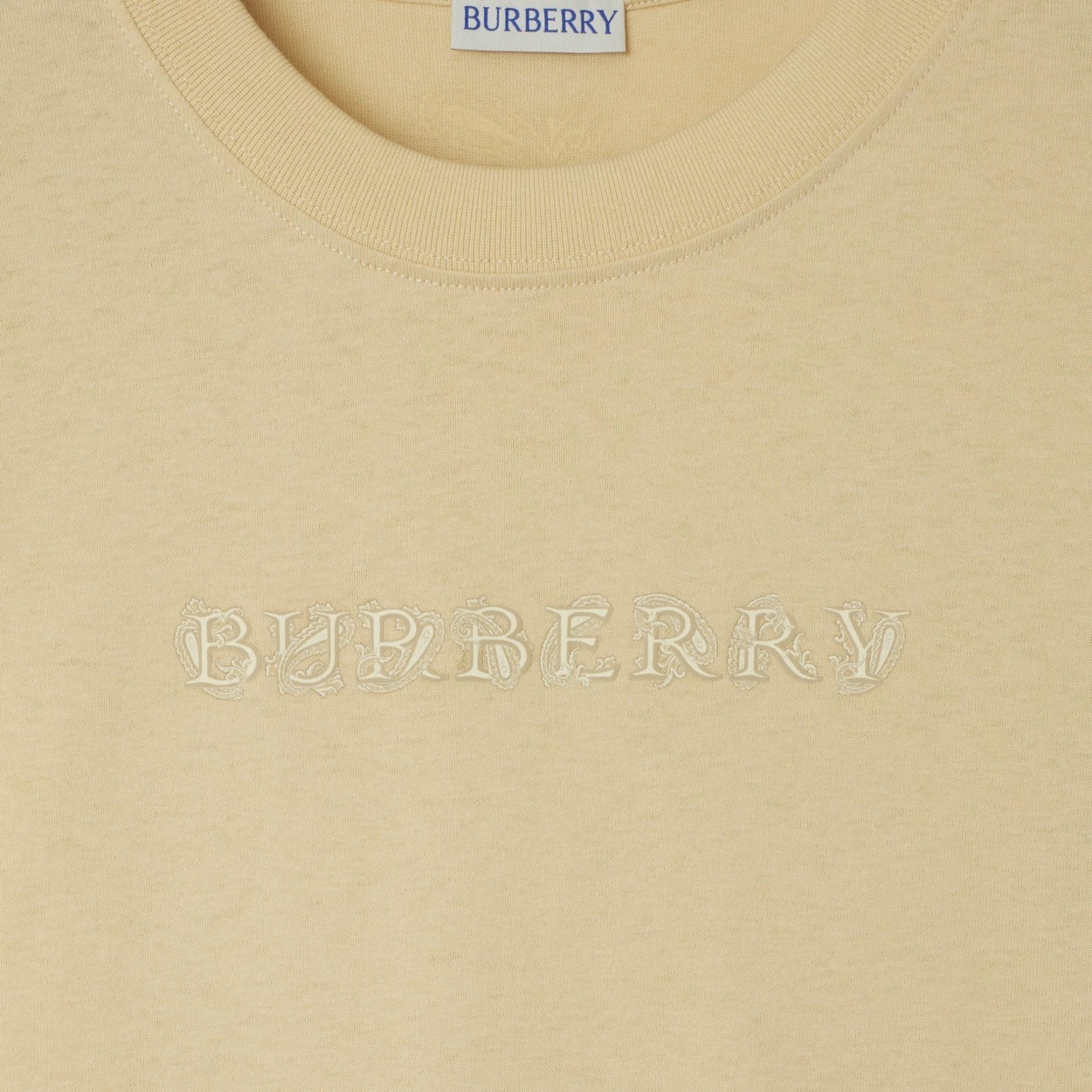 Burberry Paisley Logo Cotton T-shirt In Nude