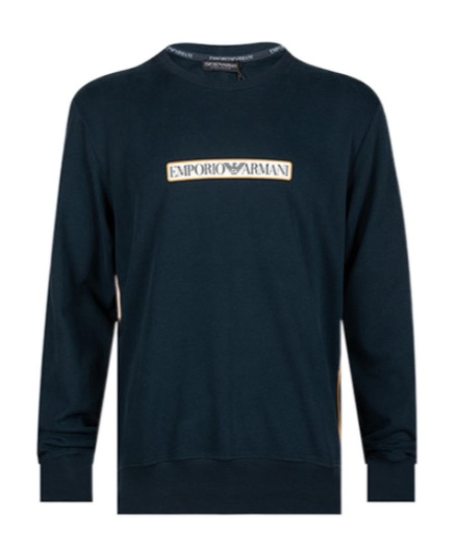 Emporio Armani Logo Logo Hoodie In Black