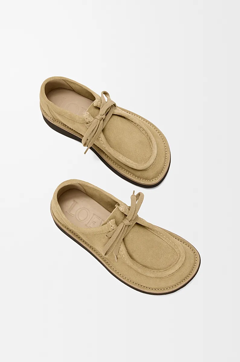 Loewe Faro Lace Up Shoes In Suede Calfskin