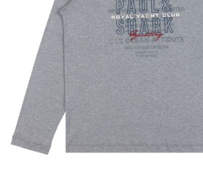 Shop Paul & Shark Logo Long-sleeved T-shirt In Gray