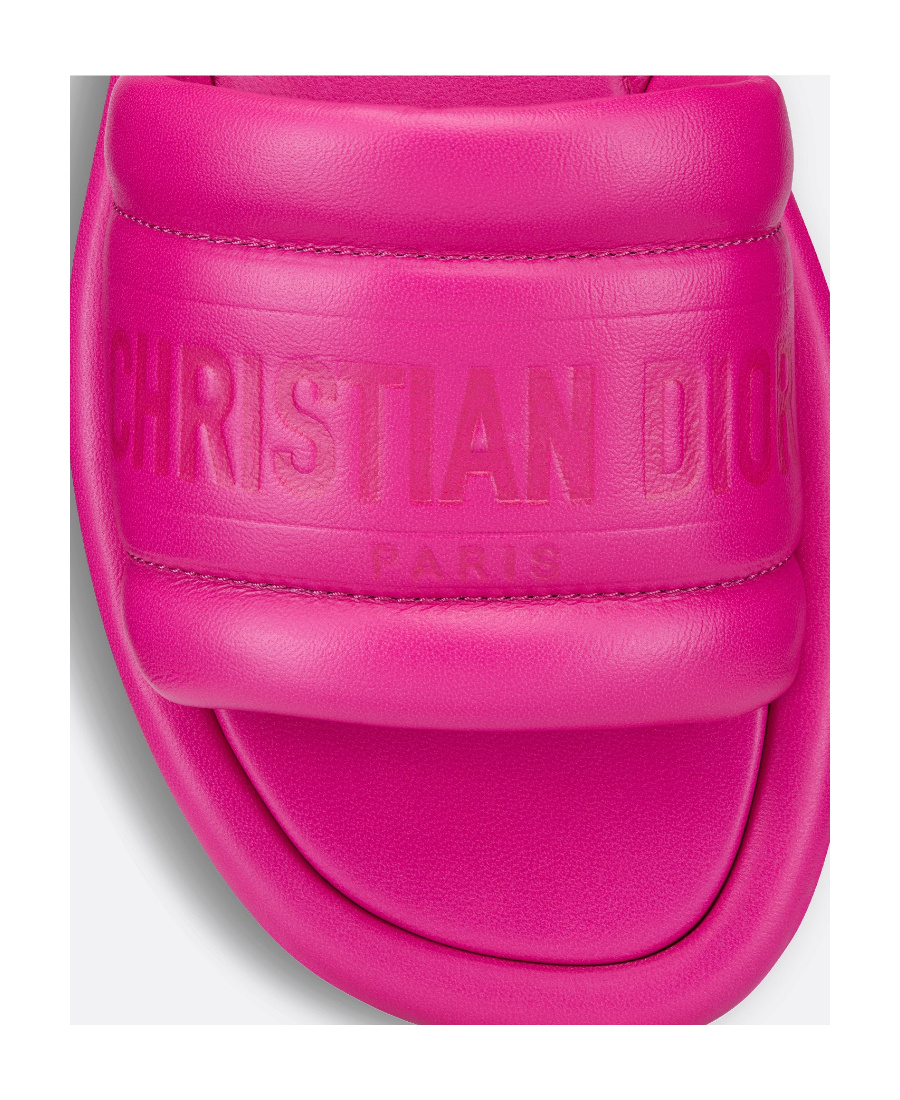 Dior Every-d Leather Slide In Pink