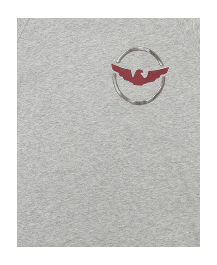 Armani Jeans T-shirt With Round Neck And Long Sleeves In Gray