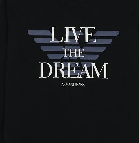 Armani Jeans T-shirt With Round Neck And Long Sleeves In Black