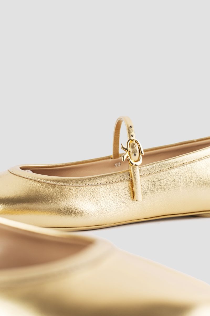 Gianvito Rossi Carla Flat Shoes In Yellow