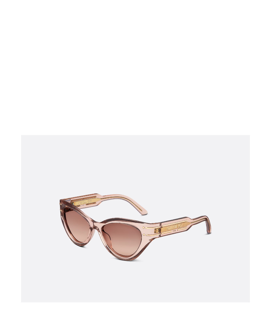 Dior Signature B7i Sunglasses In Nude