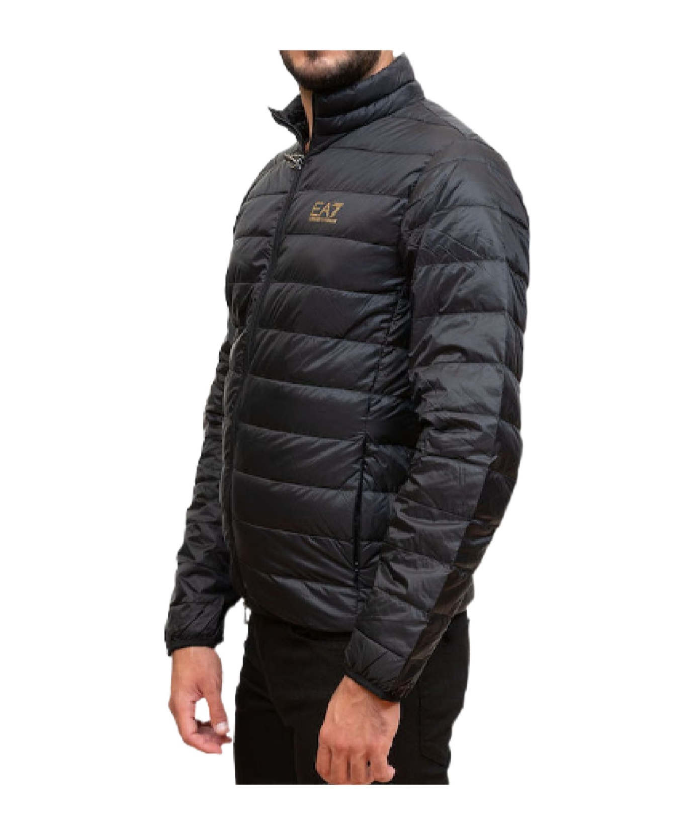 Ea7 E.a.7 Train Core Id M Down Light Jacket In Black