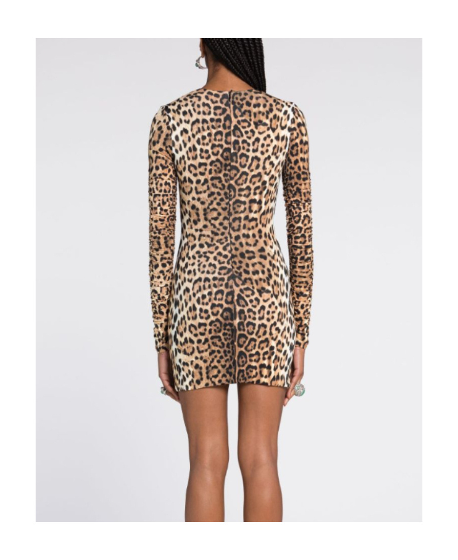 Shop Roberto Cavalli Leopard Print V-neck Minidress In Multicolor