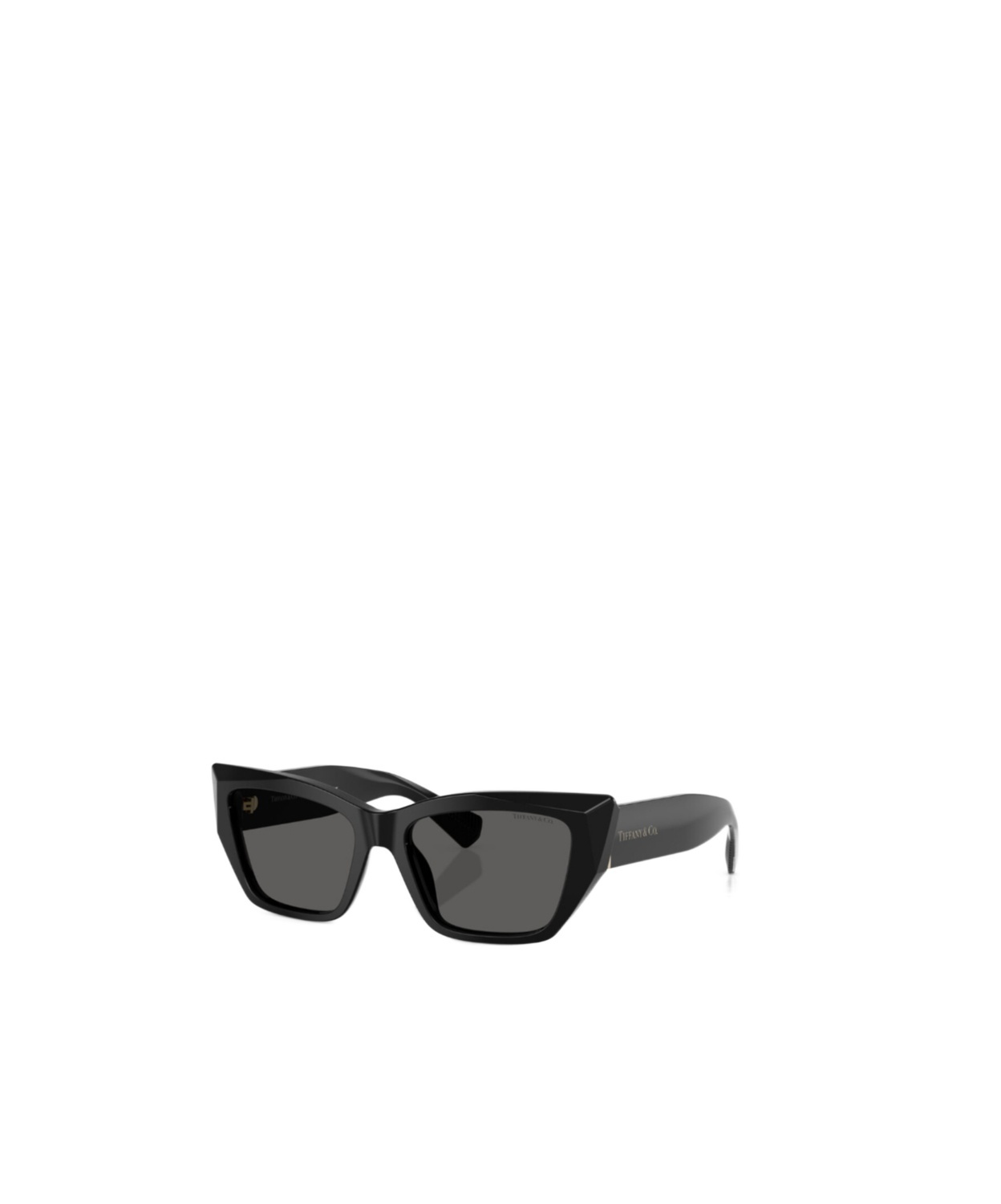 Tiffany & Co Full Frame Sunglasses In Black