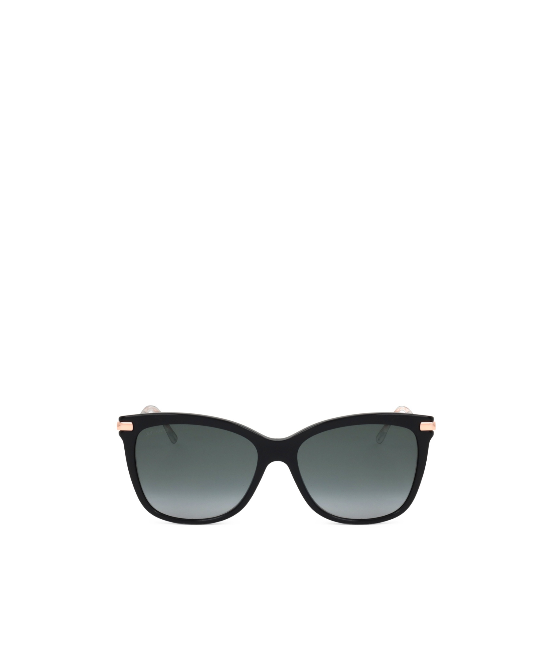 Jimmy Choo Eyewear Steff Cat-eye Frame Sunglasses In Black
