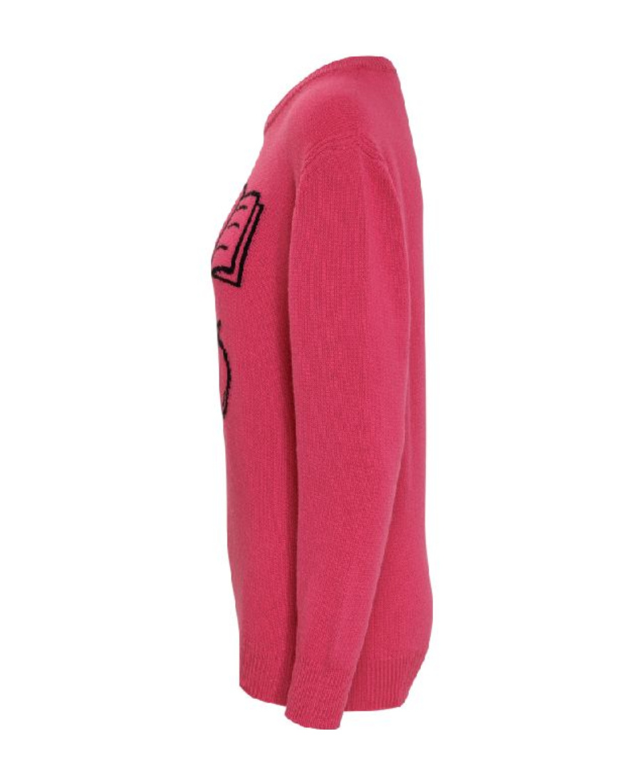 Alberta Ferretti Embroidered Jumper In Pink