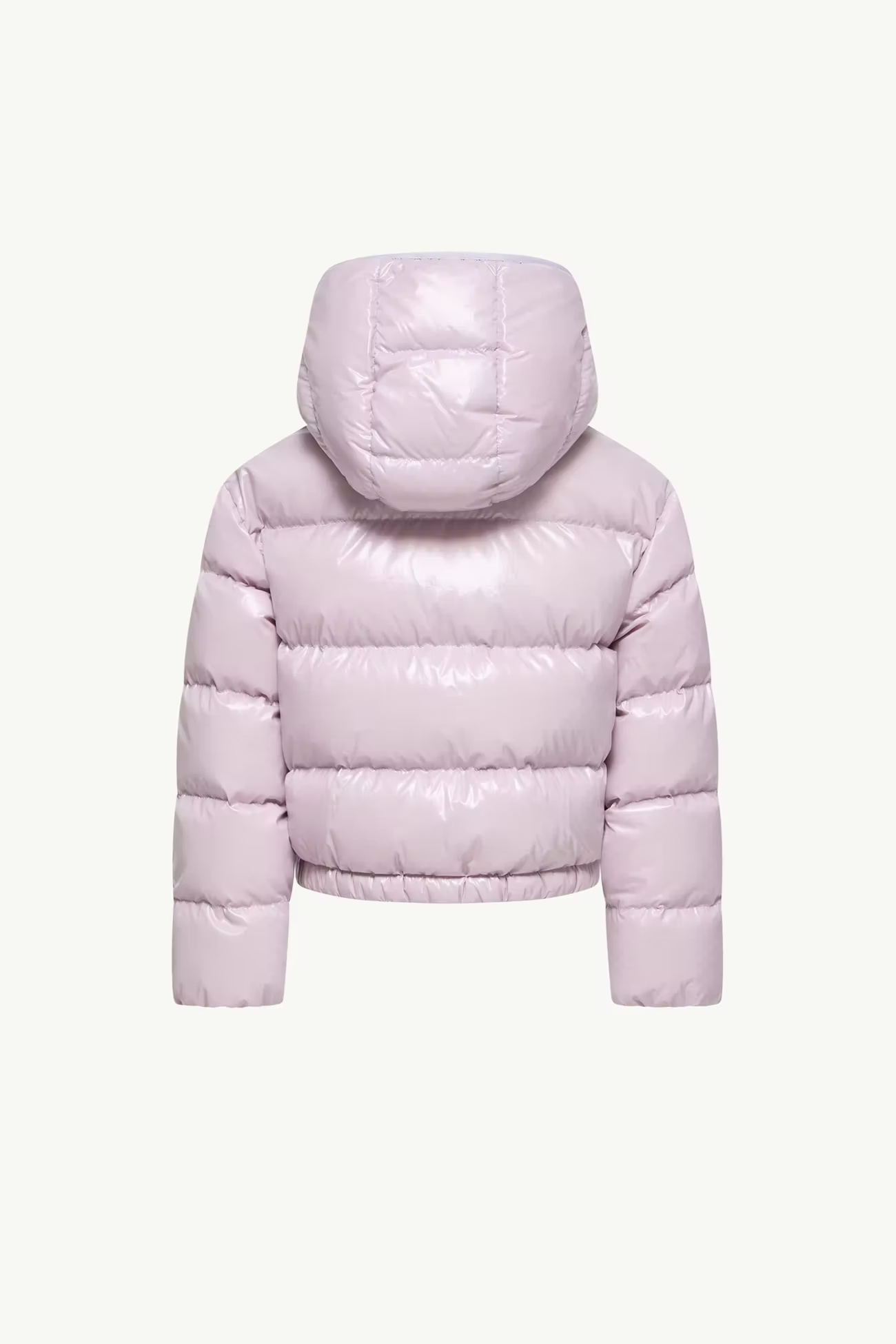 Moncler Andro Hooded Down Jacket In Multi