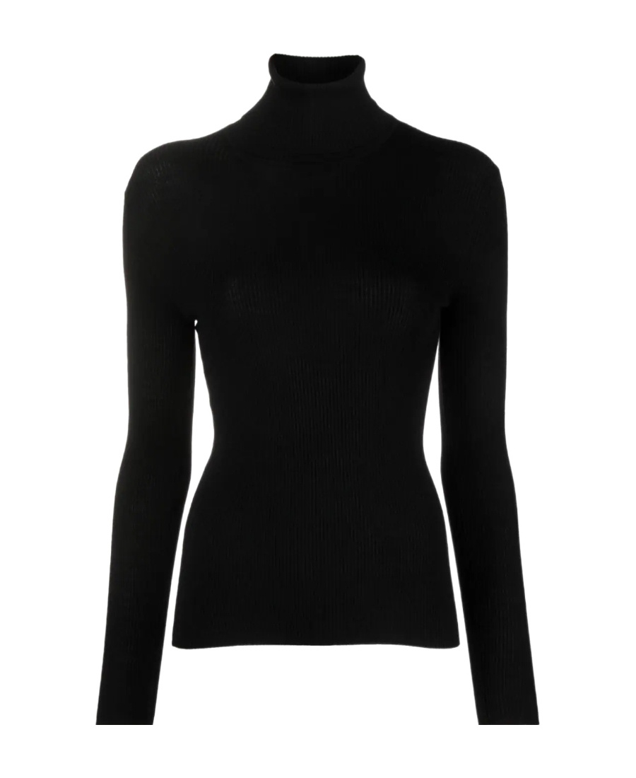 P.a.r.o.s.h Parosh Ribbed Turtleneck Sweater With Elegant Open Back Design In Black