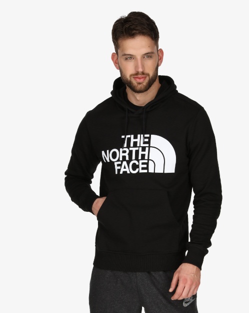 The North Face Half Dome Graphic Pullover Hoodie In Black