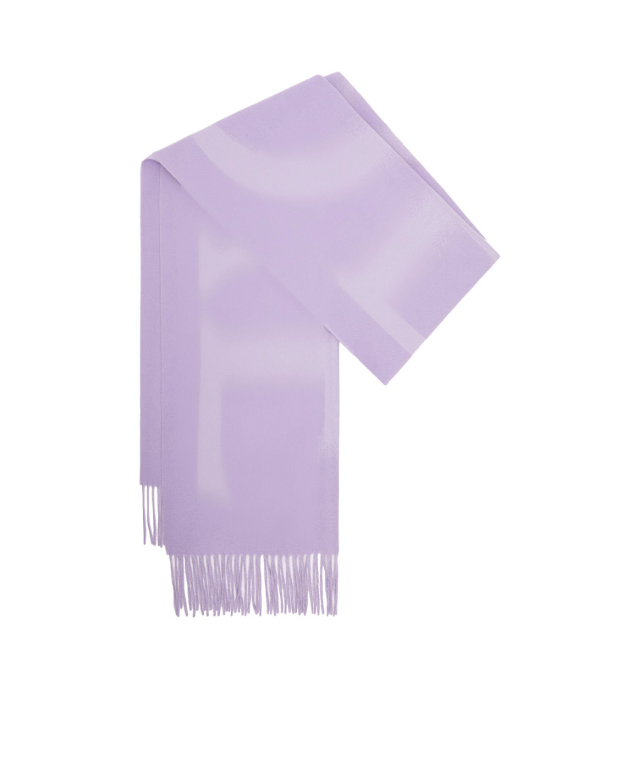 Loewe Wool And Cashmere Scarf In Purple