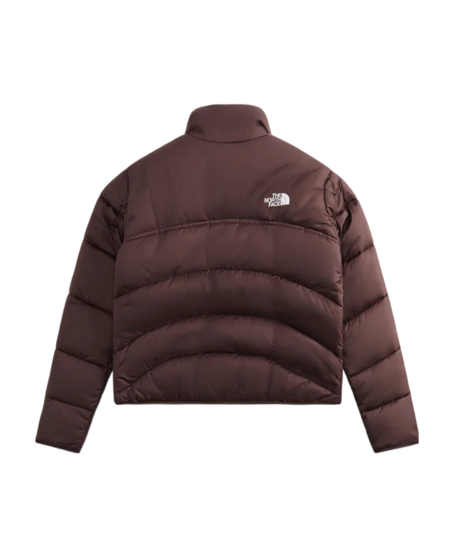 The North Face 2000 Synthetic Long-sleeved Cotton Suit In Brown