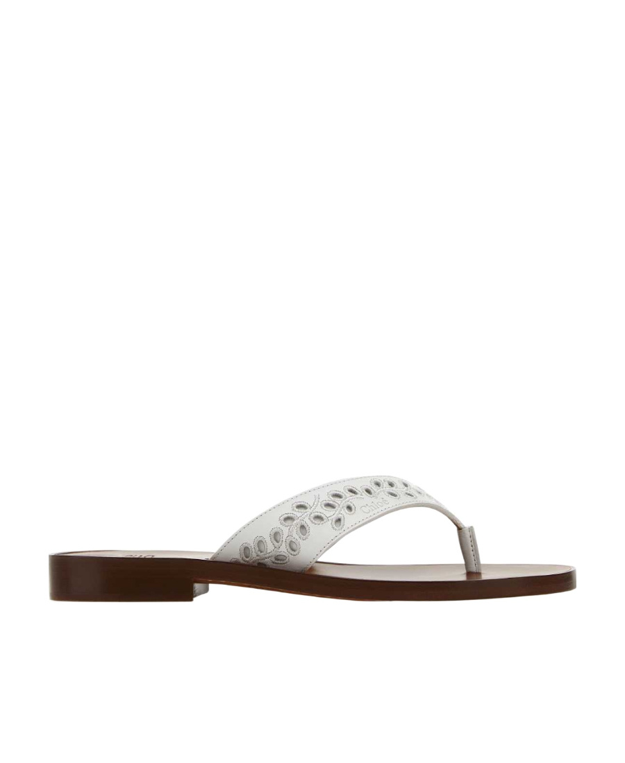 Chloé Chloe Slippers In Brown