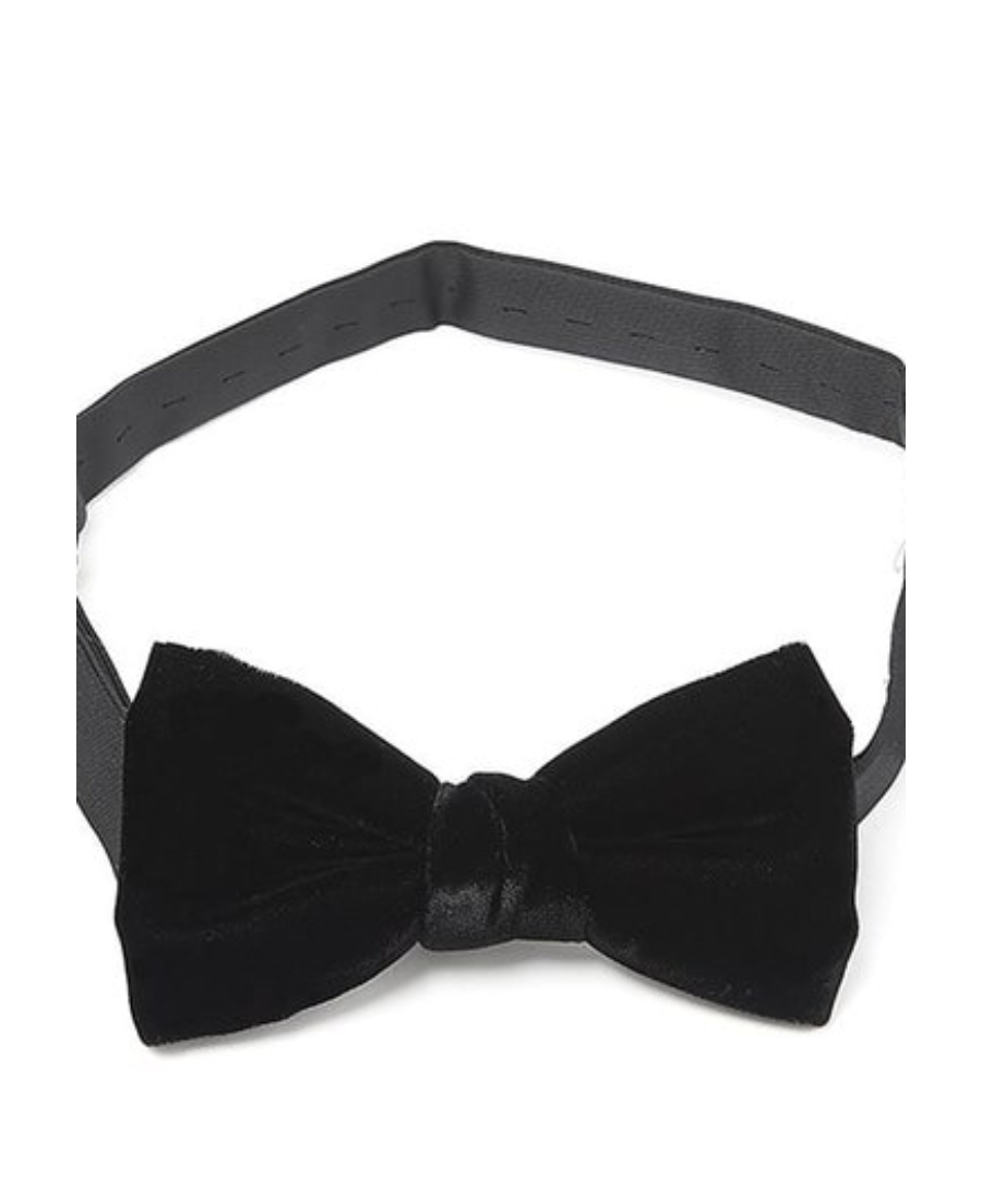 Saint Laurent Velvet Bow Tie In Black