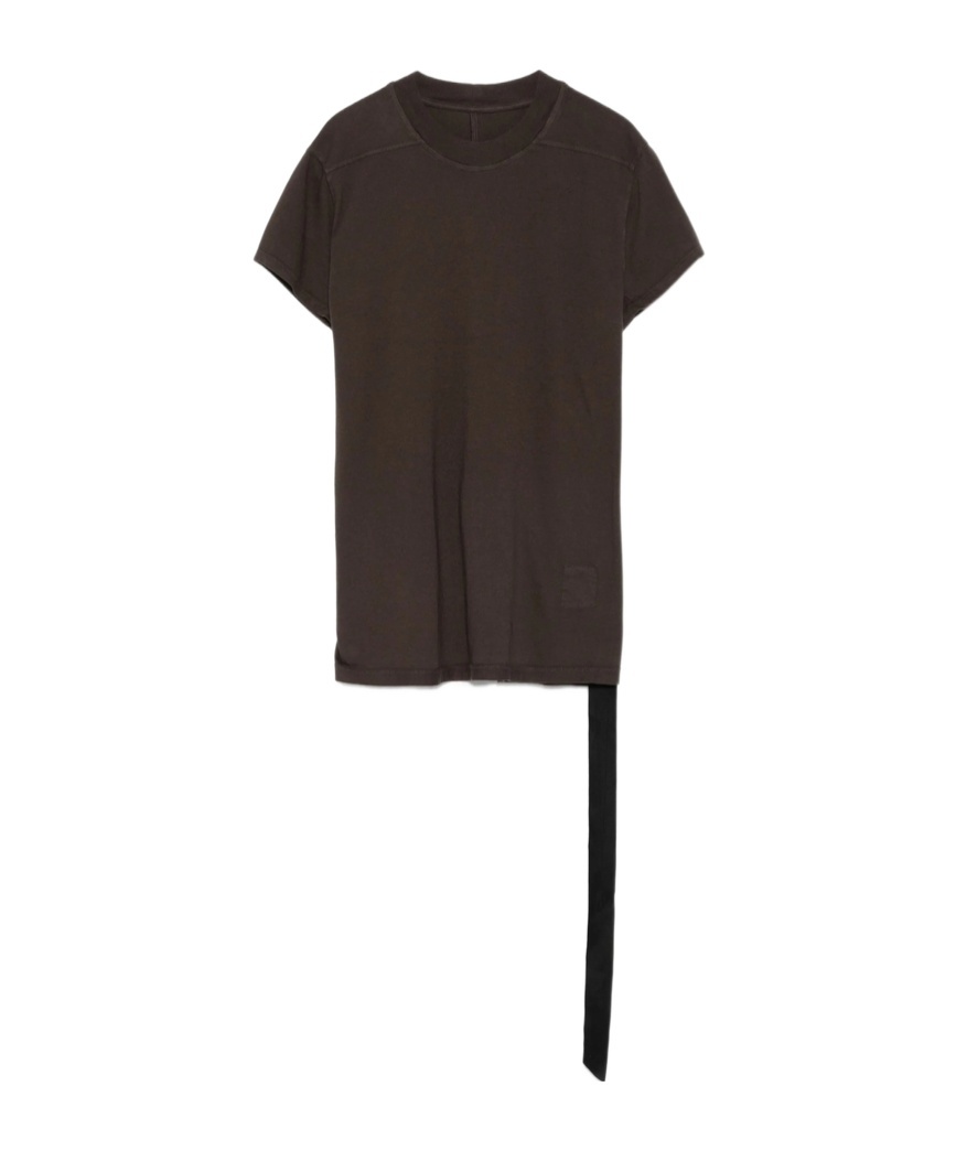 Rick Owens Drkshdw Concordians Small Level T T-shirt In Brown
